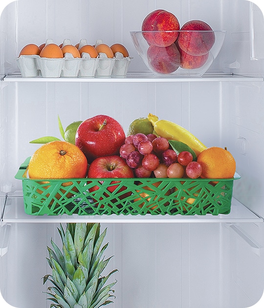 حاوية ثلاجه فليسكي - الصورة 2